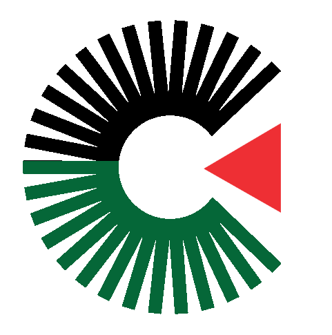 Cork Palestine Solidarity Campaign